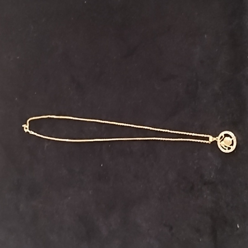 Ladies Horoscope Necklace/Leo pendant